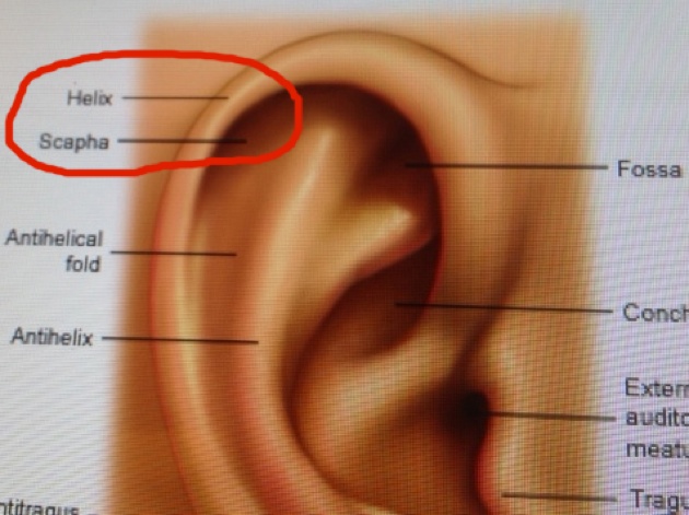 Ear Diagram