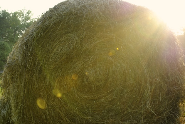 Labor Day Weekend - Hay Bale