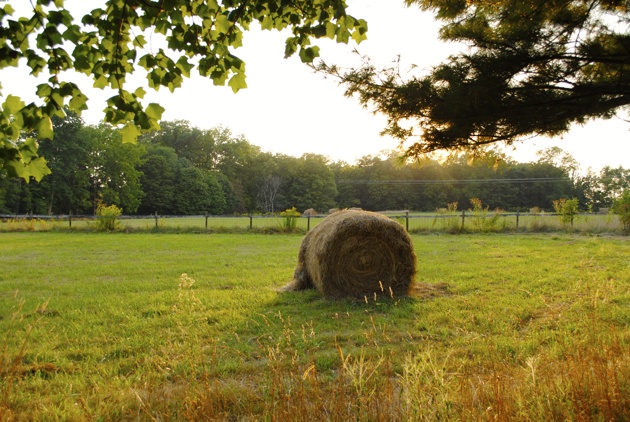 Labor Day Weekend - The Hoosier State