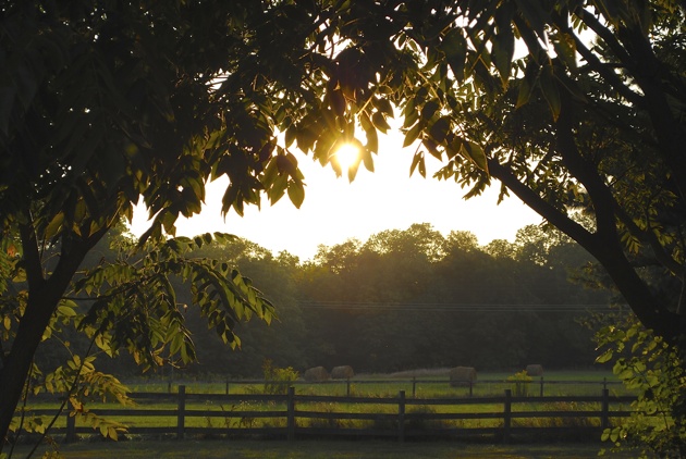 Labor Day Weekend - Hay Bales in the Pasture