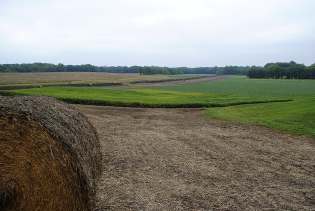 Labor Day Weekend - Hay Bales