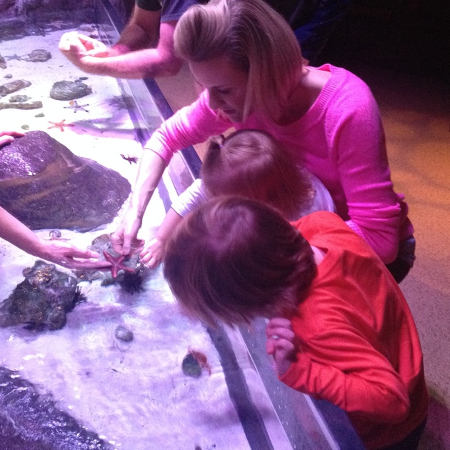 Touching the Starfish at Sea Life Aquarium